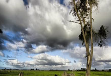 天涯社区情感交友：在线寻情记