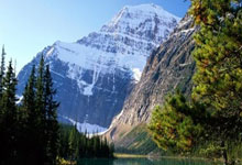 天涯社区房价预言会成真吗？